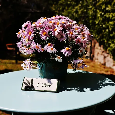 Bed And Berli Sesto Fiorentino